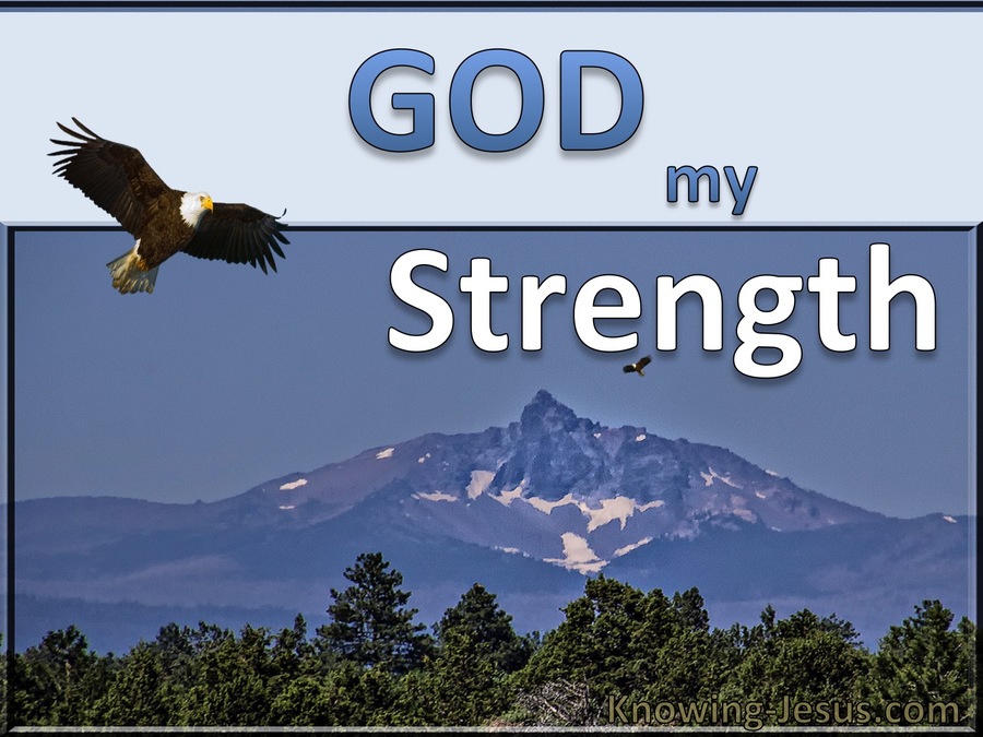 God, My Strength (devotional)02-24 (brown)